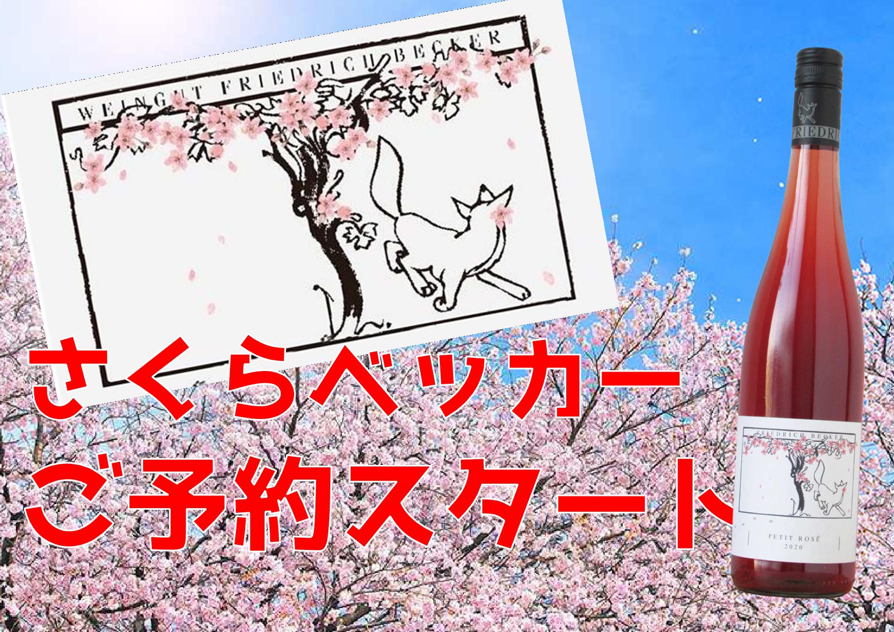 【春を彩るロゼ】今年もやります！さくらベッカー